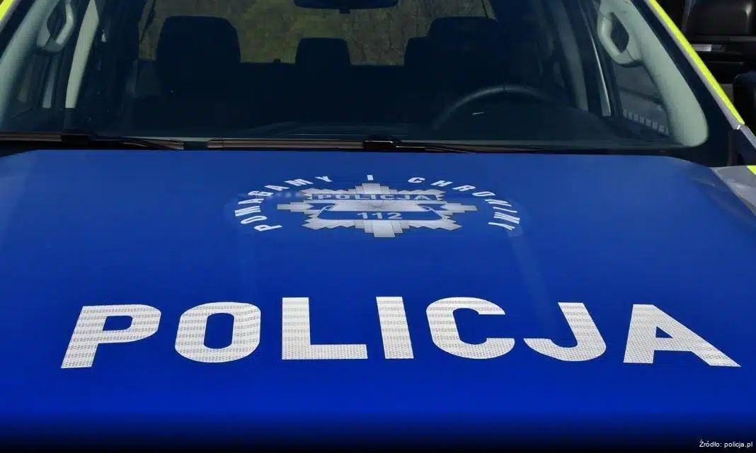 Policja podejmuje działania w celu zwalczania nielegalnej sprzedaży choinek