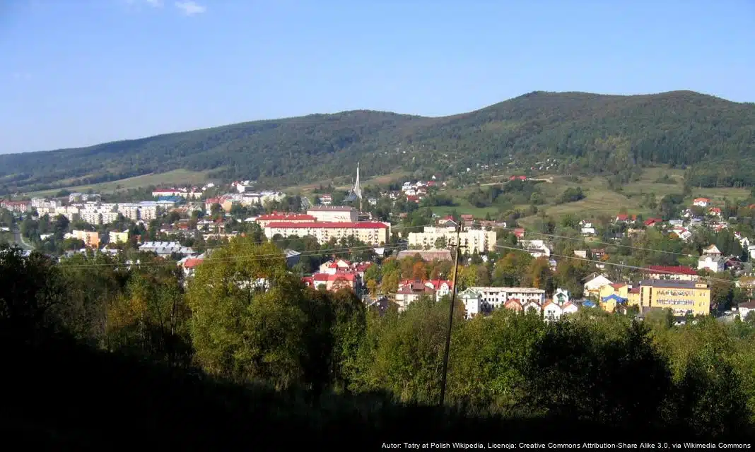 Podsumowanie zakończonej rekrutacji do Programu „Asystent Osobisty Osoby z Niepełnosprawnością” w Ustrzykach Dolnych