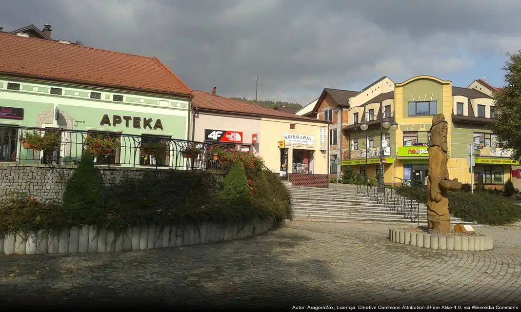 Nabór kandydatów do Gminnej Rady Działalności Pożytku Publicznego w Ustrzykach Dolnych